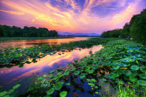 激情碰撞！苏超直播上演进球大战，嗨翻全场