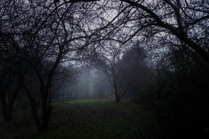 女单决赛预测：王曼昱能否卫冕陈梦能否绝地反击